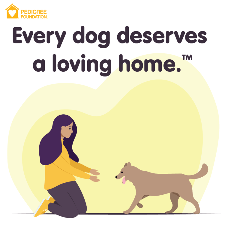 Pedigree Illustration